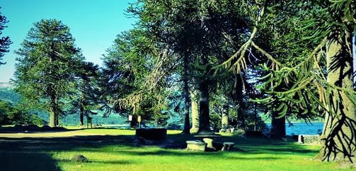 Foto de Camping Trempain - Aluminé en Camping Trempain, Aluminé, Neuquén, Argentina