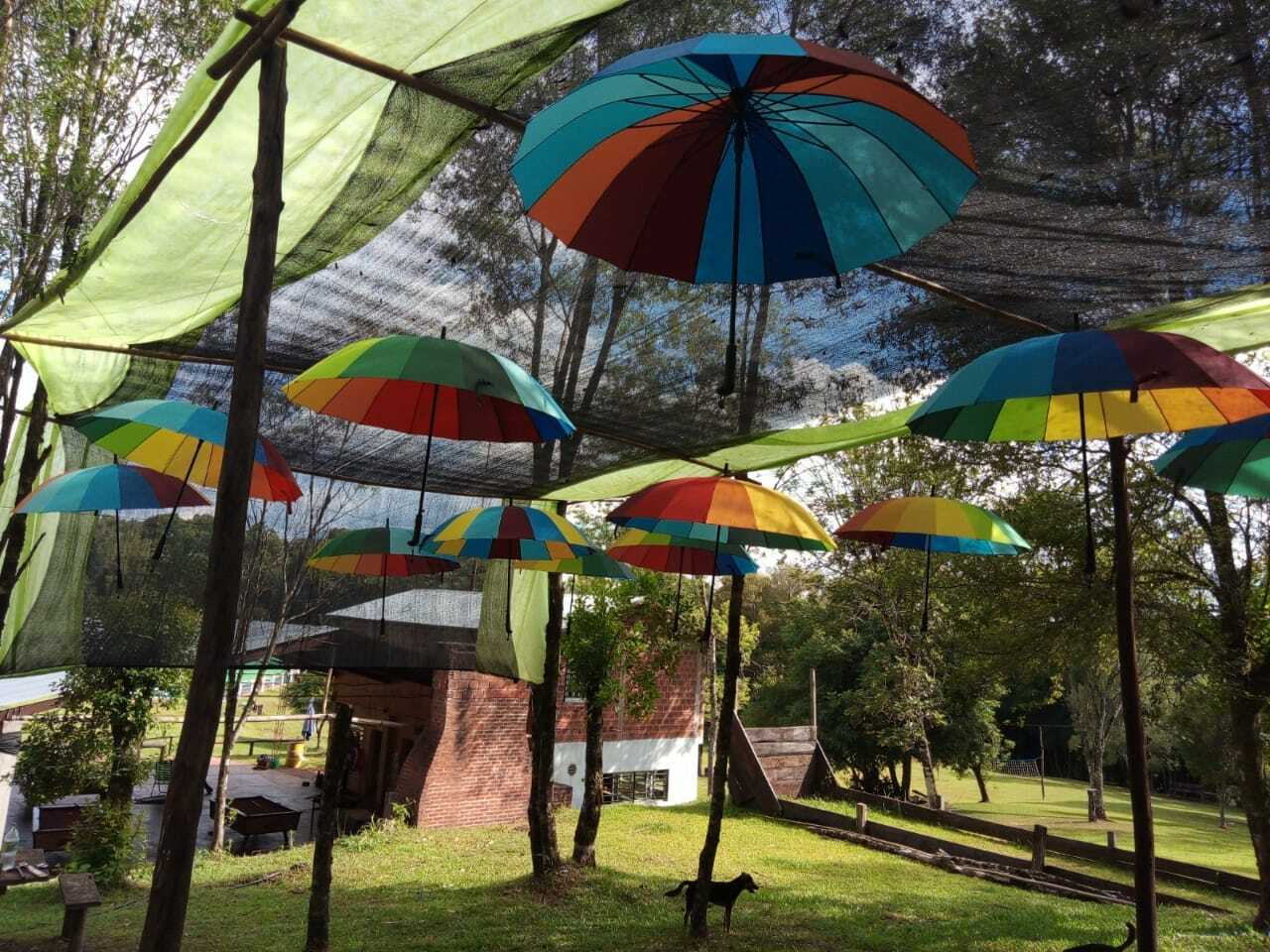 Foto de Camping Caitano - Campo Grande en Camping Caitano, Misiones, Argentina