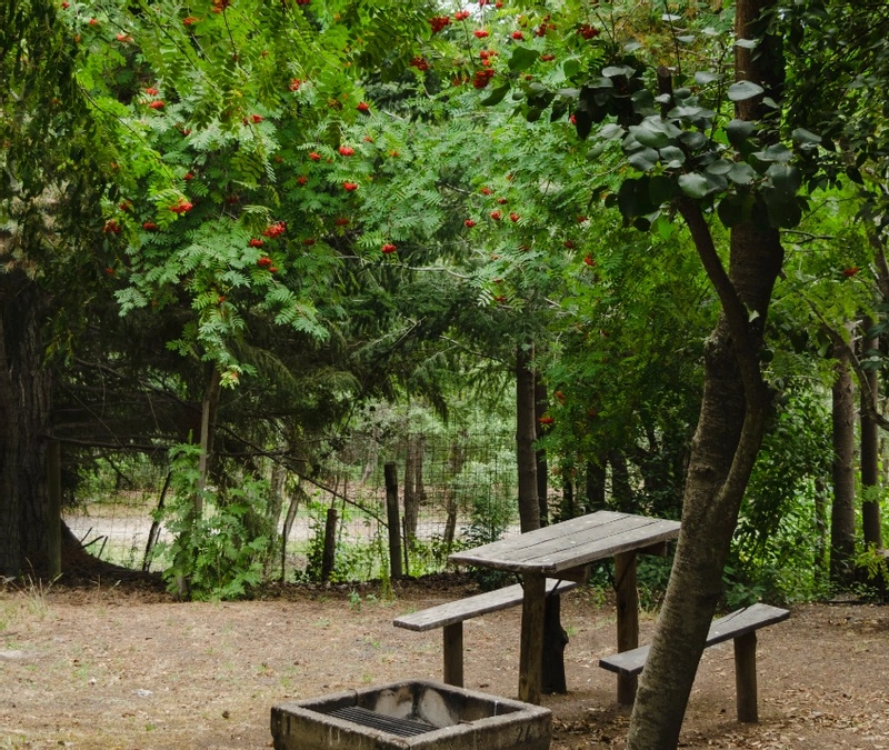 Foto de Camping UNQUEHUE - Villa La Angostura en UNQUEHUE,Villa La Angostura,Neuquén