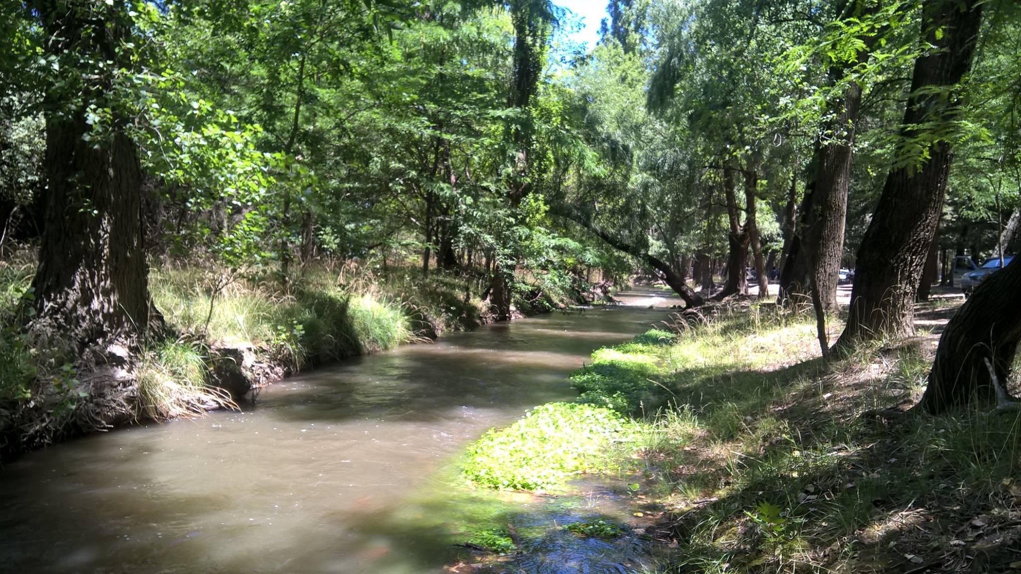 Foto de Camping La Chacra Carhué - Carhué en Camping Municipal la Chacra, Carhué, Provincia de Buenos Aires, Argentina