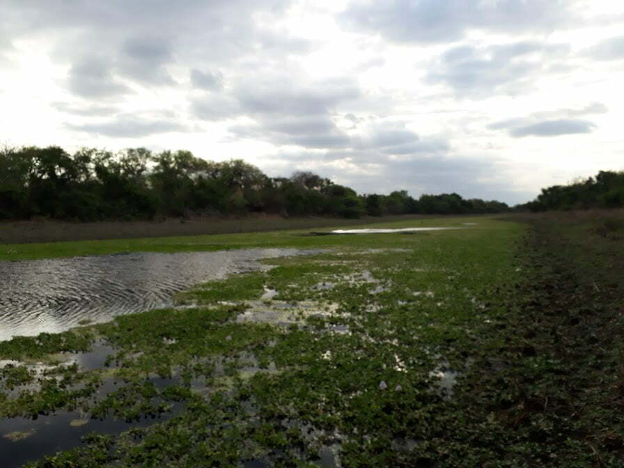 Foto de Camping Tigre Ã‘ato